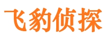 江夏捉小三公司